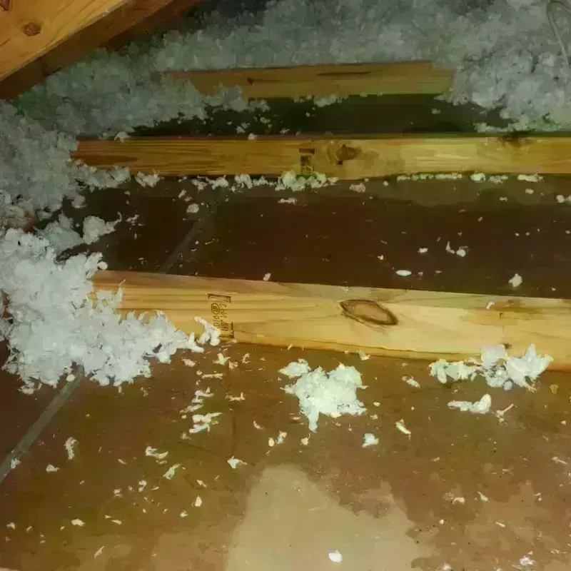 Attic Water Damage in Nashotah, WI